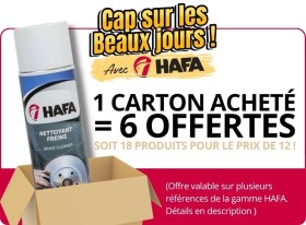 image de Nettoyants freins 500ML | HAFA | 12 ACHETÉS = 6 OFFERTS